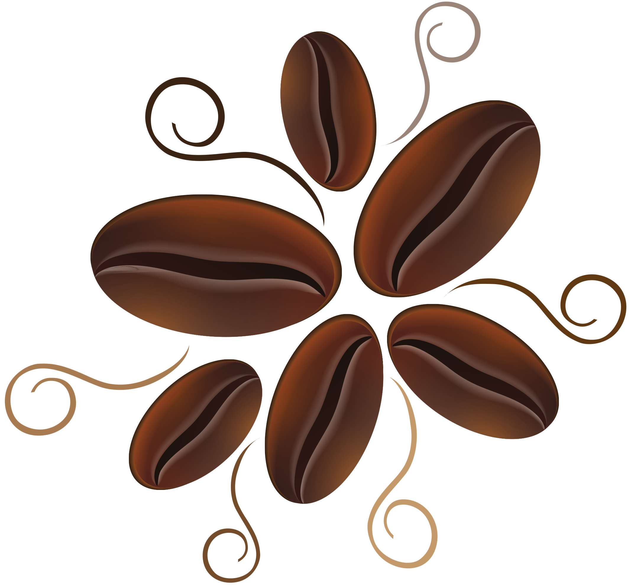 Six Picks Artisan Roasted Coffee