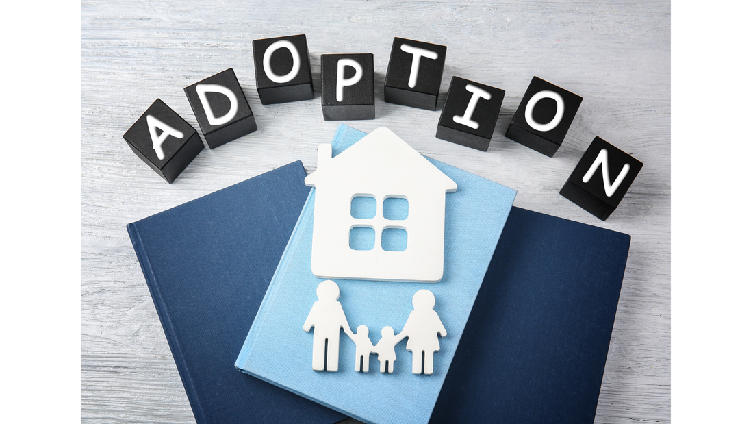 Starting with a Bang! - International Adoptions are In Jeopardy